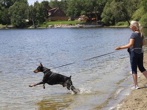 Bonnie Lachapelle looks on as her dog, Luxifer, chases after a treat at Whitewater Lake Park in Azilda, Ont. The weather for Tuesday calls for rain and a high of 24 degrees C. John Lappa/Sudbury Star/Postmedia Network