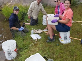 2.	Adam Lepage, Living With Lakes Centre Director Dr. John Gunn, master's student Haley Moskal, and research assistant Genevieve Peck (left to right) doing field work in Killarney Supplied photo