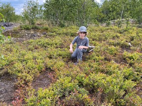 Oliver Shorthouse of Gatineau, Que., visits the same patches of lowbush blueberry above Bethel Lake studied by his grandfather, retired Laurentian University biology professor Joe Shorthouse, and his father, David Shorthouse.