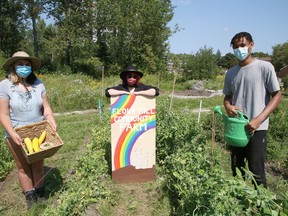 Gracie Wadge, left, Lilith Wall and Chibike Ijomah show off a section of garden at the Flour Mill Community Farm site located next to the Ryan Heights playground, behind the Ryan Heights housing complex in Sudbury, Ont. on Wednesday August 18, 2021. The Social Planning Council of Sudbury celebrated the 5th growing season at their Flour Mill Community Farm with an open house. The public event featured youth-led farm tours and a market booth was set up to provide visitors with a chance to purchase some of the ecological vegetables grown at the farm. Since its establishment in 2017, the Social Planning Council of Sudbury and the YMCA have helped to secure summer jobs through this project for more than 30 young people who have produced thousands of pounds of food for the community. John Lappa/Sudbury Star/Postmedia Network