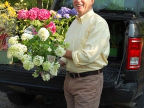 Mark Cullen says hydrangeas are stars in most any garden. Supplied