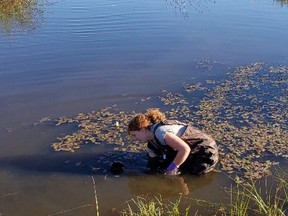 Laurentian University master's student Mackenzie Russell has partnered with Natural Resources Canada to uncover the effects of drought disturbances on mining-impacted wetlands in Sudbury. (Supplied photo)