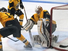 Tillsonburg Thunder’s 2019-20 hockey season ended in the semifinals due to the arrival of COVID-19. The Thunder are back for 2021-22, but in a new five-team WOSHL. (Chris Abbott/Norfolk and Tillsonburg News)