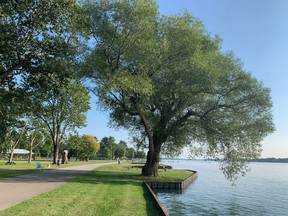 Brander Park at Port Lambton on Tuesday, Aug. 10, 2021. The St. Clair River has since 1987 been identified as an "area of concern" because of degraded water or environmental health. But in June, one of those concerns – tumours and other deformities in fish – was found to have been resolved. Peter Epp/Postmedia Network