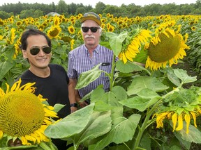 London surgeon Patrick Luke and Jay Curtis of Elgin County stand in a two-hectare plot of sunflowers that Curtis planted to raise awareness and funds for minimally invasive prostate cancer therapies at London Health Sciences Centre. Mike Hensen/Postmedia