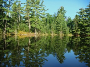The beauty of our area is defined by our waterways and our coniferous forests.
