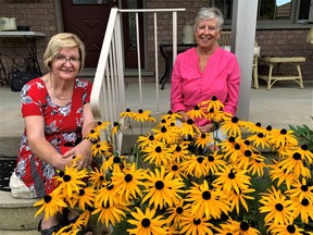 The Simcoe and District Horticultural Society will observe COVID-19 protocols during two events at the Norfolk County Fairgrounds in Simcoe this month. On hand to discuss the society’s plans Wednesday were director Janina Juric, left, of Simcoe and president Helen Uren, also of Simcoe. – Monte Sonnenberg