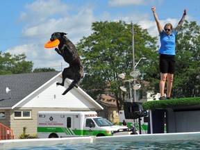 Visitors to this year’s Paris Fair were treated to numerous displays of canine derring-do courtesy of the Extreme Dogs exhibition team. Here, handler Michelle Smith puts pooch Lunacy through his Frisbee-chasing routine at the doggie pool. – Monte Sonnenberg