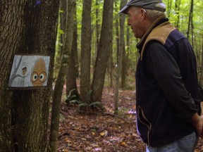 John Symons, who with other volunteers created a trail system north of Wasi Lake, reads one of the story panels which suddenly appeared a few weeks ago. There are 16 panels altogether, 32 pages from a children's book, about "a very, very good egg."
PJ Wilson/The Nugget