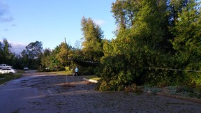 Cleanup continues after depraved storm batters Port Elgin space 1 0914 po storm fenton