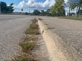 A common sight along Memorial Drive is weeds taking over sidewalks and streets. The city is looking at environmentally-friendly ways to combat the problem. Jennifer Hamilton-McCharles/The Nugget