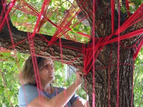 Metis artist Tracey-Mae Chambers, from Hamilton, installs her #hopeandhealingcanada project in the parkette just to the west of the Tom Thomson Art Gallery in Owen Sound on Saturday, September 18, 2021. Chambers uses red yarn to symbolize connectivity – between each other, ourselves and our communities, and our environment. Chambers is installing works across Canada, each one intended as an act of decolonization, inspiring people to connect, offering the hope that people can find healing and the path towards deeper understanding. The Owen Sound installation will run until Oct. 1.