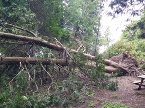 The Lion's Northshore Pavilion was not damaged but trees surrounding the Port Elgin picnic spot were toppled August 7 when a “bow echo” embedded in a line of storms over Lake Huron produced downbursts as it came ashore at Southampton and Port Elgin.

Damage from those downbursts has been rated as EF-0 and EF-1 on the Enhanced Fujita scale.

EF0 twisters have wind speeds of 90 to 130 km/h, while an EF-1 tornado has wind speeds of 135 to 175 km/h.