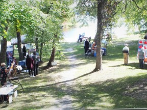 One of over a dozen artist working at her easel at the Art in the Park