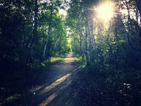 Trails Manitoba announced some upgrades to trails accross the province. (supplied photo)