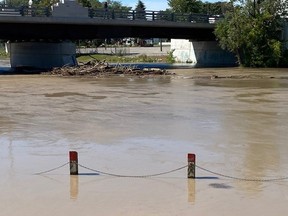 The Thames River is shown in Chatham. (LTVCA/Handout)