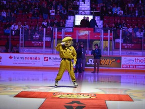 The North Bay Battalion Hockey Club is looking for someone to put on the Sarge inform and entertain the crowds at home games as well as other team activities. Those who are interested can email info@battalionhockey.com.