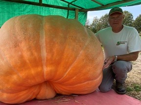 Tiverton giant vegetable grower Bob MacKenzie may enter this giant pumpkin – estimated  at 1,400 lbs.  - in the Port Elgin Pumpkinfest virtual Weigh Off Oct. 2. MacKenzie and his wife Elaine are Giant Vegetable Growers of Ontario members and hold a 2005 World record for a 1,063.5 lb. squash.