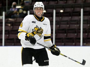 Sarnia Sting's Ashton Reesor (4) plays against the London Knights in an OHL pre-season game at Progressive Auto Sales Arena in Sarnia, Ont., on Saturday, Sept. 4, 2021. Mark Malone/Chatham Daily News/Postmedia Network