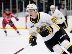 Sarnia Sting's Alex Geci (29) plays against the Windsor Spitfires in an OHL exhibition game at Progressive Auto Sales Arena in Sarnia, Ont., on Friday, Sept. 17, 2021. Mark Malone/Chatham Daily News/Postmedfia Network