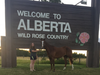 Hanna Reid of Ridgetown, Ont., has received a $2,500 scholarship from the Municipal Retirees Organization of Ontario. (Contributed Photo)