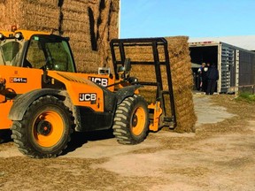 Hay for Hay West being loaded at Flynn Farms in Clinton, Ont. into trucks owned by Hutton Transport of Paisley