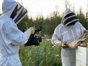 Lucas Seaward films beekeeping as part of a pop-up photography tour. Supplied image/FMWBEDT