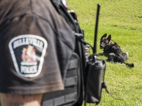 K-9 Officer Bax looks at partner and trainer Constable Jesse McInroy at Belleville Police's new headquarters. ALEX FILIPE
