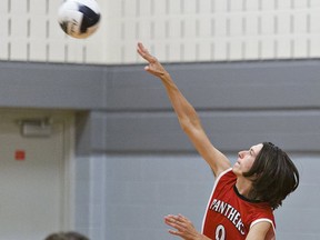 Matt Staples of the Paris District High School senior boys volleyball team serves the ball during a match against Assumption College on Sept. 23.