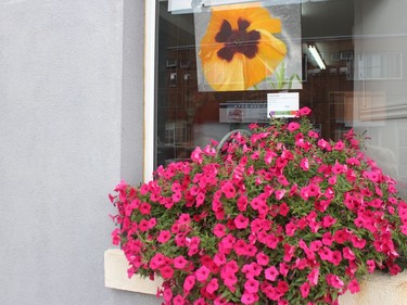 Orange Poppy, oil on canvas, by France Hurtubise, at R&L's Book Nook. Photo on Saturday, September 11, 2021, in Alexandria, Ont. Todd Hambleton/Cornwall Standard-Freeholder/Postmedia Network