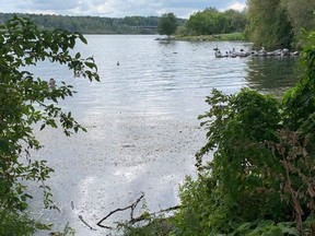 The Cornwall waterfront, as seen on Friday September 17, 2021 in Cornwall, Ont. Francis Racine/Cornwall Standard-Freeholder/Postmedia Network