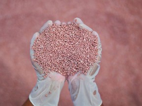 fertilizer in farmer hand. NPK fertilizers are three-component fertilizers providing nitrogen, phosphorus, and potassium