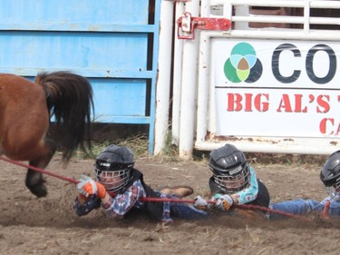 The Hanna Indoor Pro Rodeo drew a decent sized crowd as people cheered on the Wild Pony racers at the Hand Hills Lake Stampede Grounds. The event was moved to the outdoor location due to COVID-19 health restrictions. Jackie Irwin/Postmedia