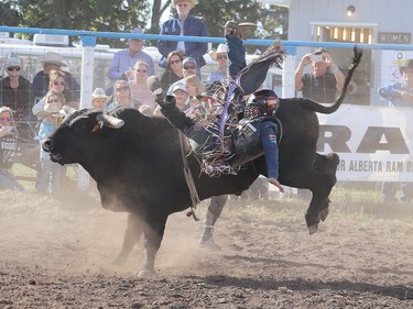 Kyle Brown of Didsbury, Alta takes a tumble from his bull Afraid to Nod at the Hanna Indoor Pro Rodeo held at the Hand Hills Lake Stampede grounds due to COVID-19 restrictions. Jackie Irwin/Postmedia