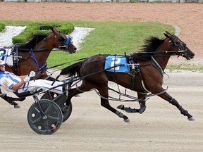 Power Of An Angel scored her first lifetime win with a 1:58.2 effort in the first $21,450 two-year-old pacing filly Grassroots division at Hanover Raceway on Sept. 4 for driver James MacDonald of Guelph and Hanover residents Roger and Carol Gebhardt, who train and own the filly.