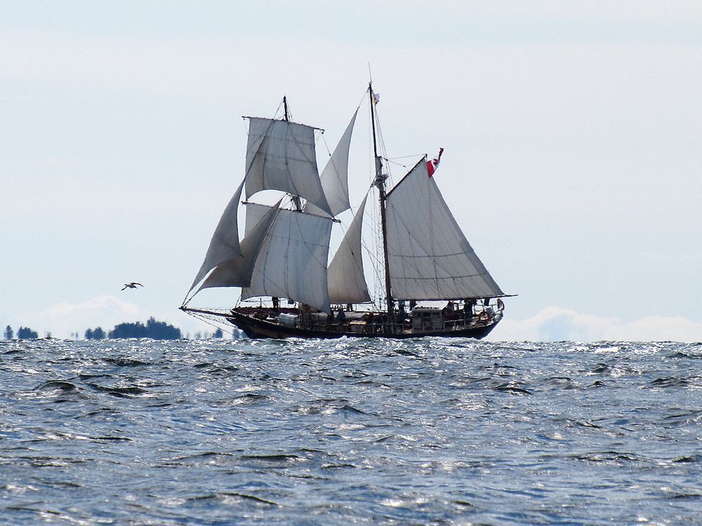 the brigantine st. lawrence ii sails past breakwater park in kingston, ont. on monday, sept. 3, 2021. elliot ferguson/the whig-standard/postmedia network