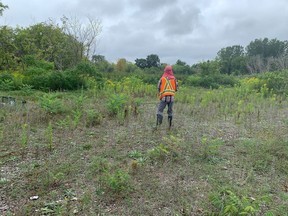 The portion of the Greater Cataraqui Marsh Provincially Significant Wetland adjacent to the Davis Tannery site has some of the highest levels of contamination in the entire property in Kingston, Ont. on Friday, Sept. 17, 2021. 
Elliot Ferguson/The Whig-Standard/Postmedia Network