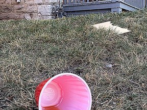 An abounded red cup lies on a lawn on Johnson Street in the University  district in Kingston on Friday September 3 2021.