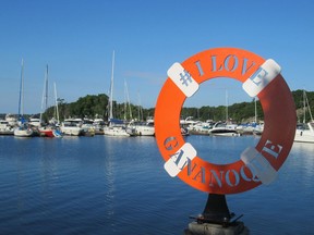 The Rotary Club of Gananoque and the Woodview Inn are joining forces to host local participation in the Great Lakes Watershed Clean-up planned for September 25 in the area around Rotary Beach in Gananoque..  supplied by Gananoque Rotary Club