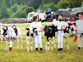 Photo by LESLEY KNIBBS
Massey Fair draws a huge crowd on last weekend in August.