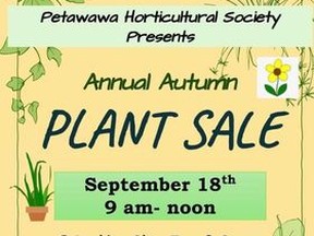 plant sale