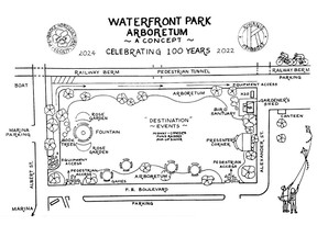 An initial conceptual drawing of a waterfront arboretum park as is being proposed by the Pembroke Horticultural Society and the Kiwanis Club of Pembroke.