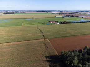 Ingersoll-based storm chaser David Piano visited a remote Perth East field with his drone and helped confirm an EF0 tornado Sept. 7, one of nine twisters that touched down in Southern Ontario that day.