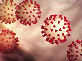 An illustration of the novel coronavirus known as COVID-19. CDC