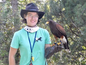 Emily Wrenshall of Talon and Bark Falconry holds Komori, a four-year-old Harris hawk. Jim Moodie/Sudbury Star