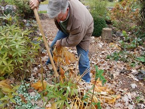 Planting a tree at any time is a good idea, but planting a tree now is the best idea of all. Same can be said for planting flowering shrubs and perennials