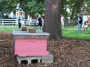 Bees hives sit up on the grounds of St. John in the Wilderness Anglican Church in Bright's Grove. The parish recently had a pollinator garden planted on the property. Paul Morden/Postmedia