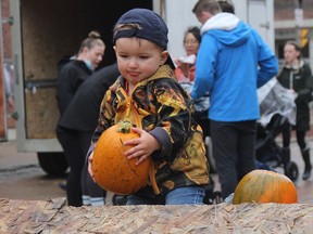 With a look of determination, Marco Paillé lifts a pumpkin to send it rolling down Third Avenue. The two-year-old was among the youngsters who participated in the "pumpkin roll" during the inaugural Fall Fest held in Downtown Timmins Saturday.

RON GRECH/The Daily Press