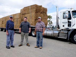 Titan Trailers accpepted a donation of hay Friday to be shipped later this month to western Canada. From left are Larry Chanda, Norfolk Cattlemen's Association; Chris Kloepfer, Titan Trailers; and Paul McCallum, from Iona Station. (Chris Abbott/Norfolk and Tillsonburg News)