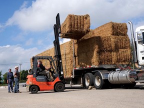 Titan Trailers' Chris Kloepfer begins unloading a donation of hay that will be shipped to western Canada later this month. (Chris Abbott/Norfolk and Tillsonburg News)